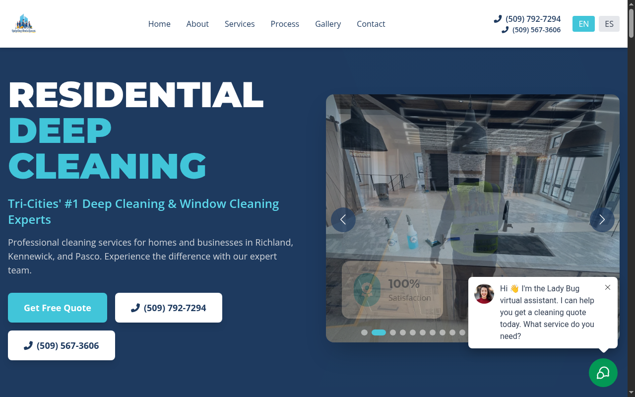 LadyBug Fresh Spaces: Cleaning Services